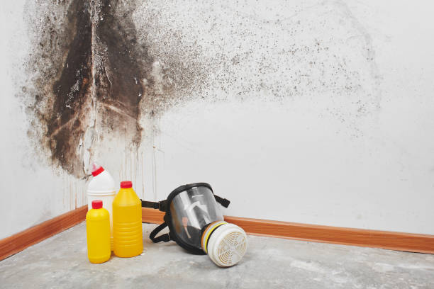 Water Damage Restoration in Meadow Lakes, AK