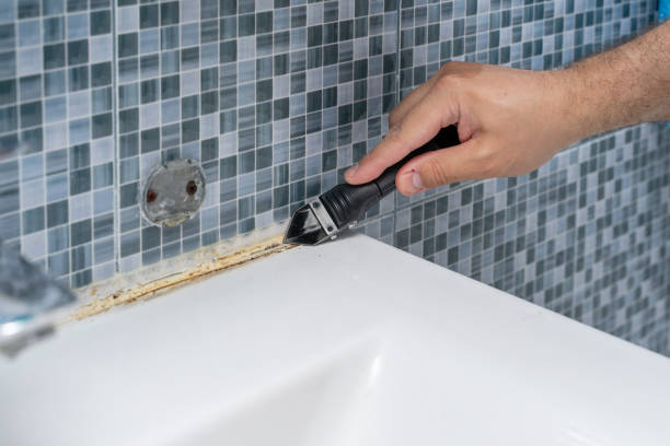Meadow Lakes, AK Mold Removal Company