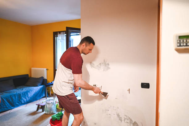 Best Fast Mold Removal  in Meadow Les, AK